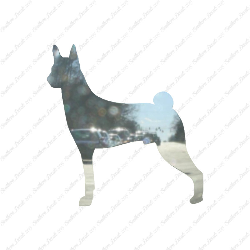 Basenji Dog Breed