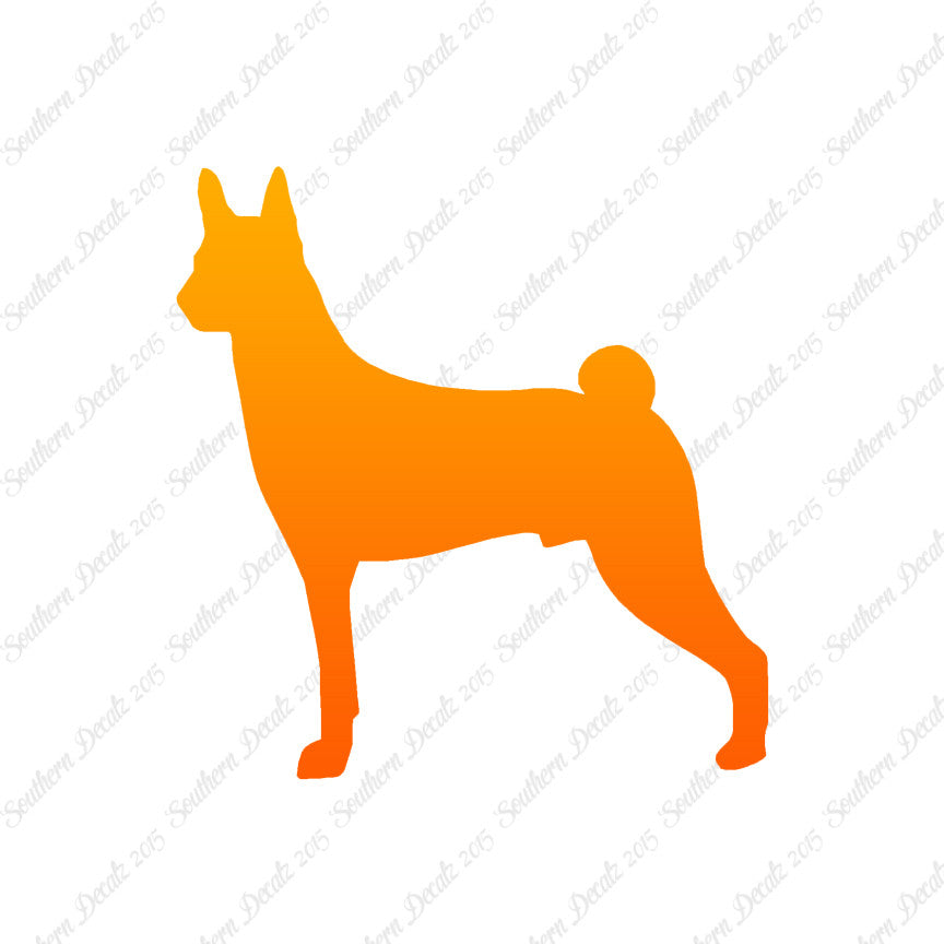 Basenji Dog Breed