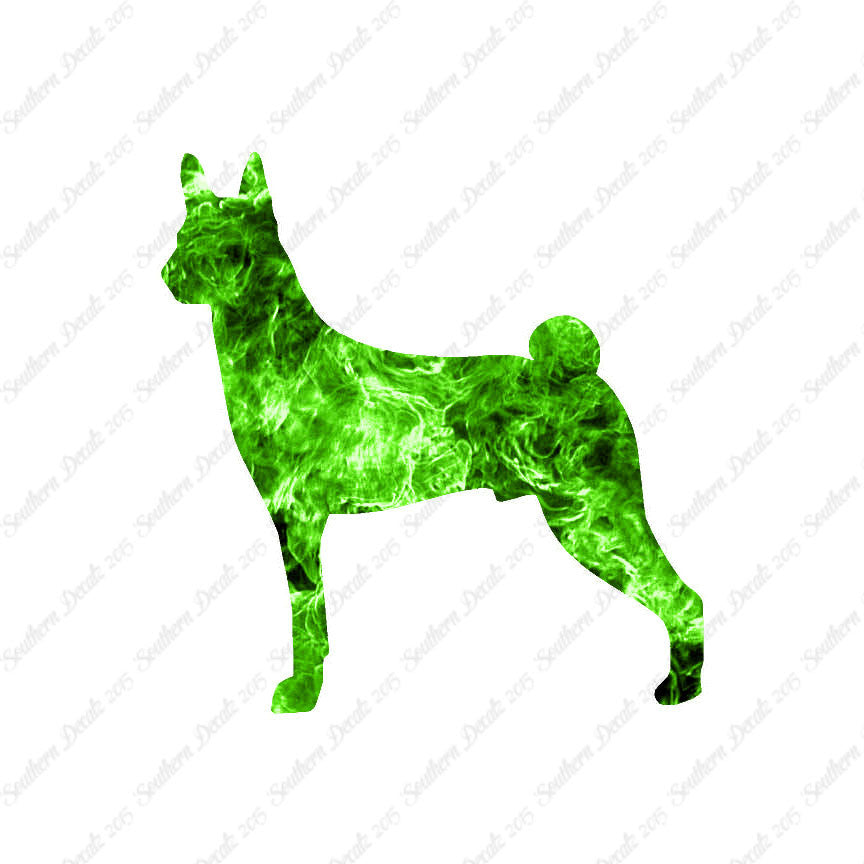 Basenji Dog Breed
