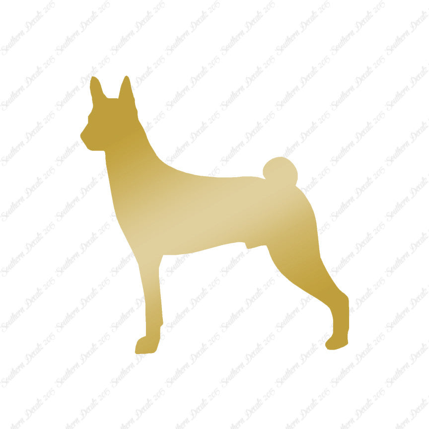 Basenji Dog Breed