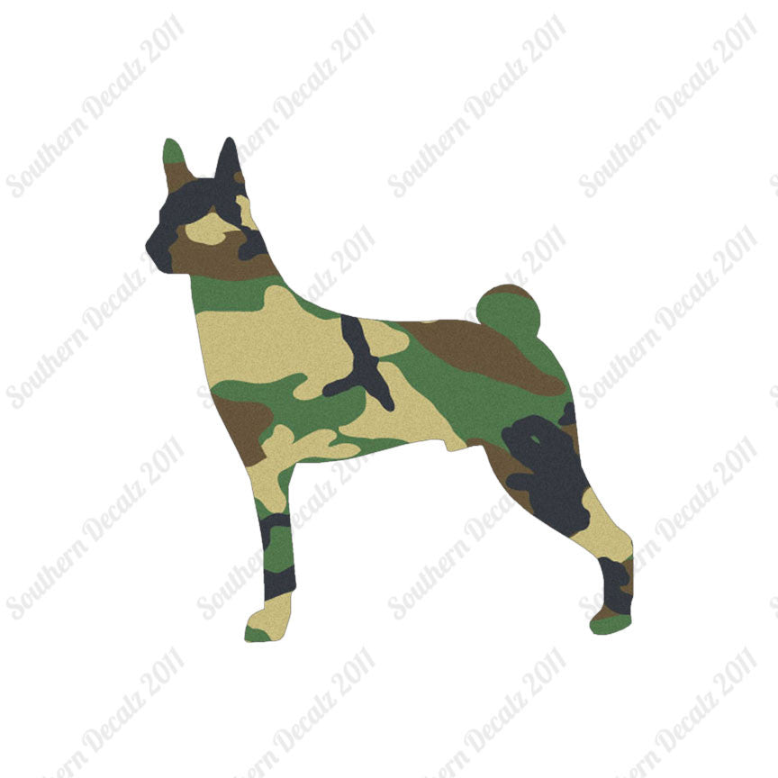 Basenji Dog Breed