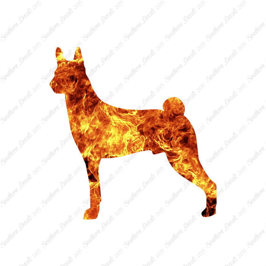 Basenji Dog Breed