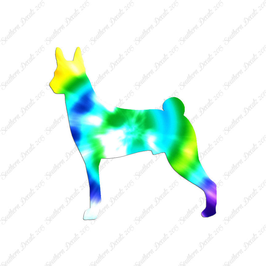 Basenji Dog Breed