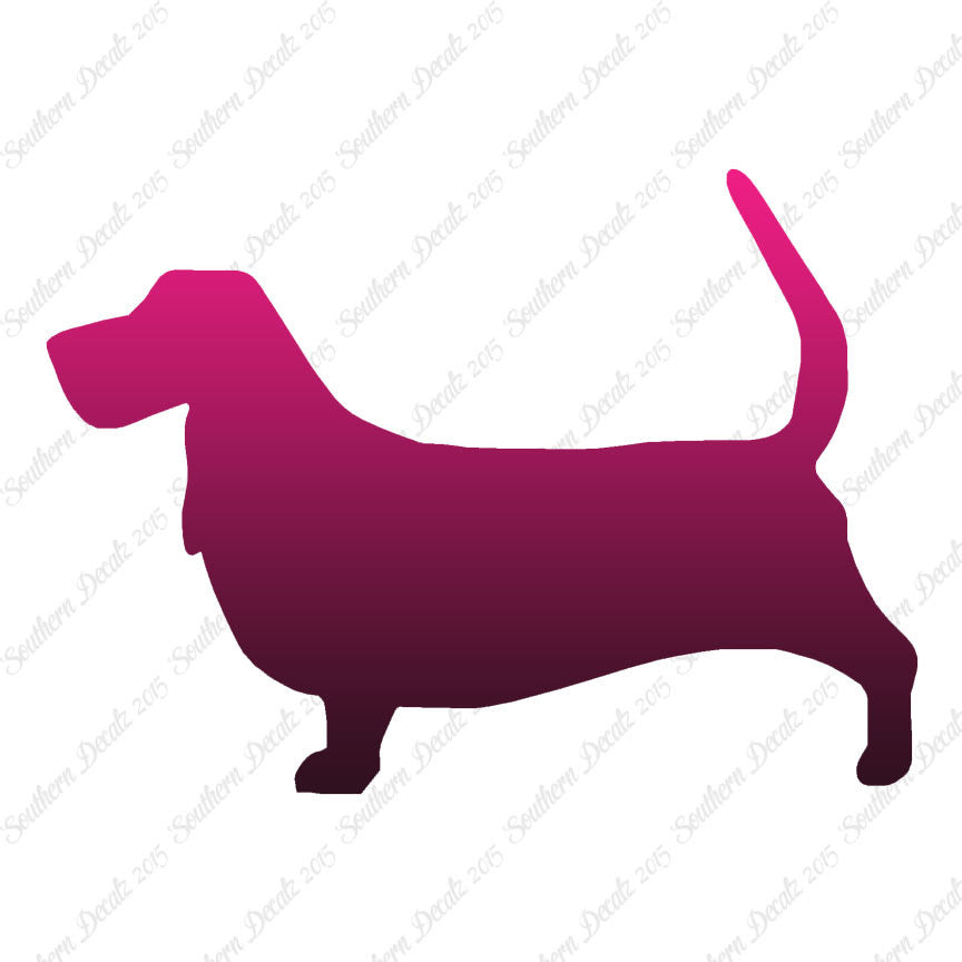 Basset Hound Dog Breed
