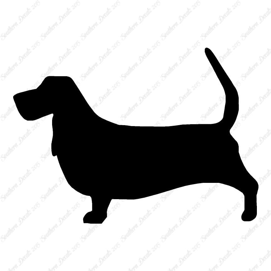 Basset Hound Dog Breed