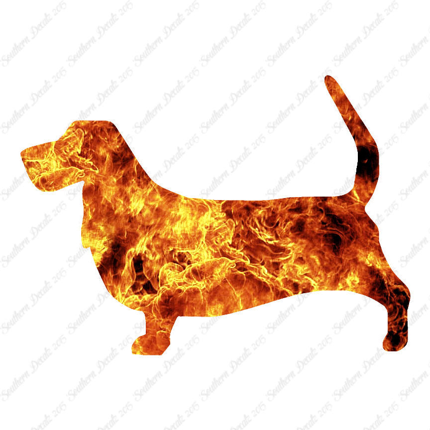Basset Hound Dog Breed