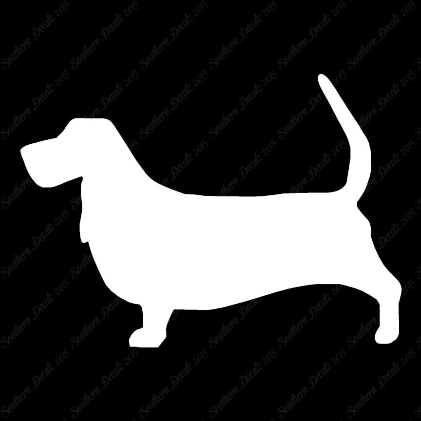 Basset Hound Dog Breed