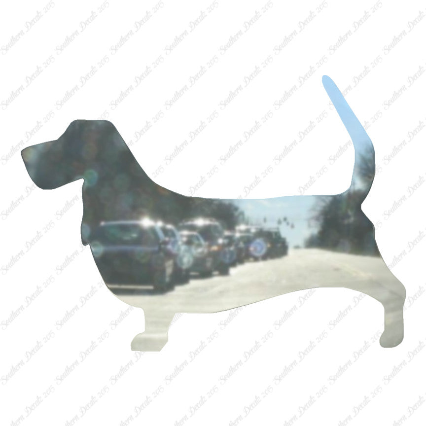 Basset Hound Dog Breed