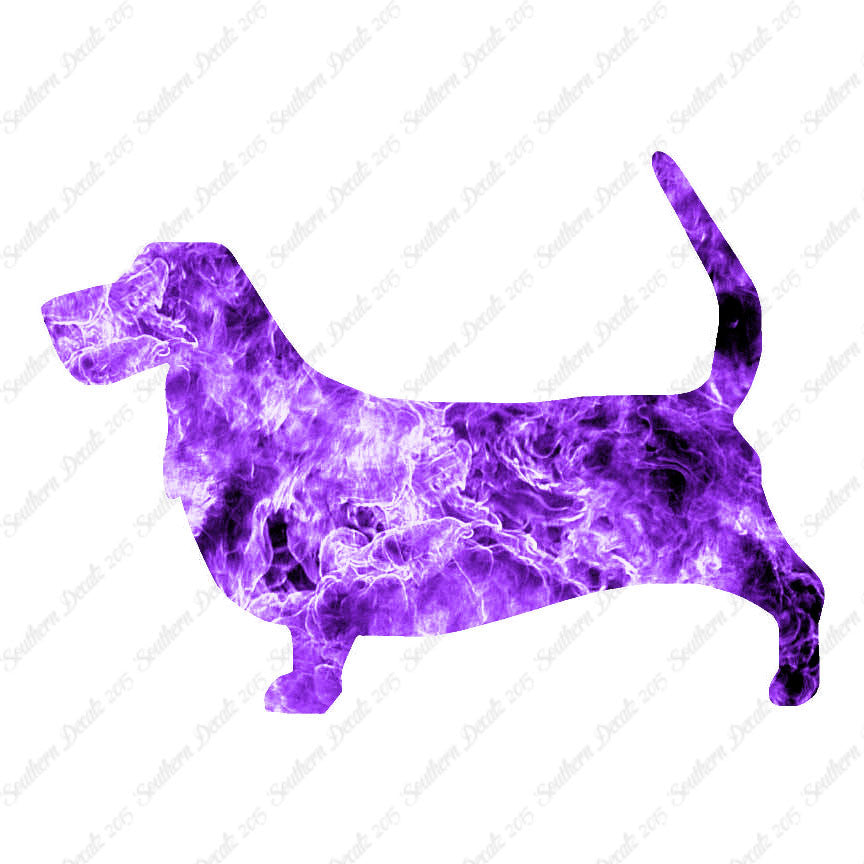 Basset Hound Dog Breed