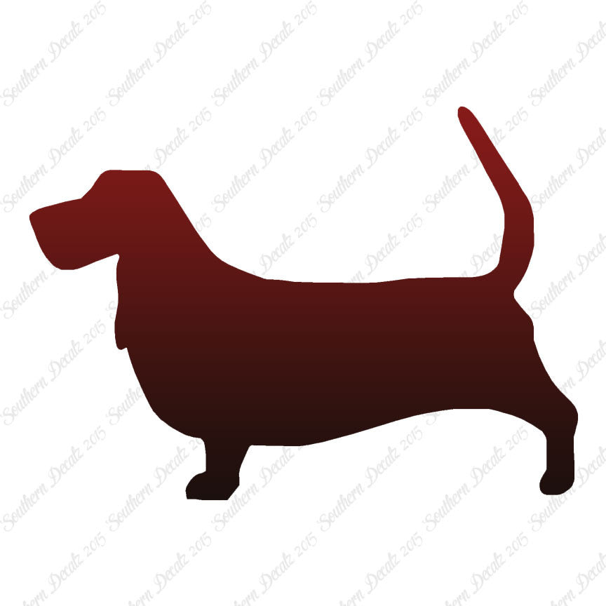 Basset Hound Dog Breed
