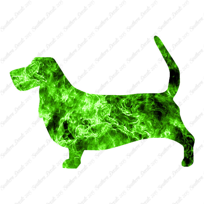 Basset Hound Dog Breed