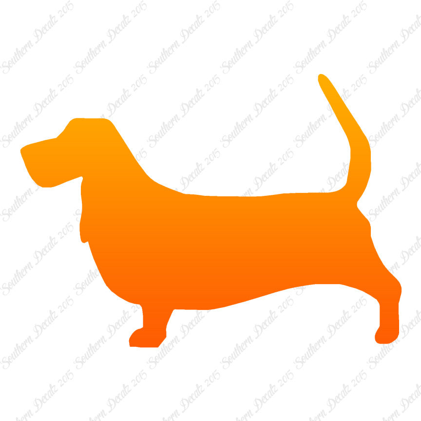 Basset Hound Dog Breed