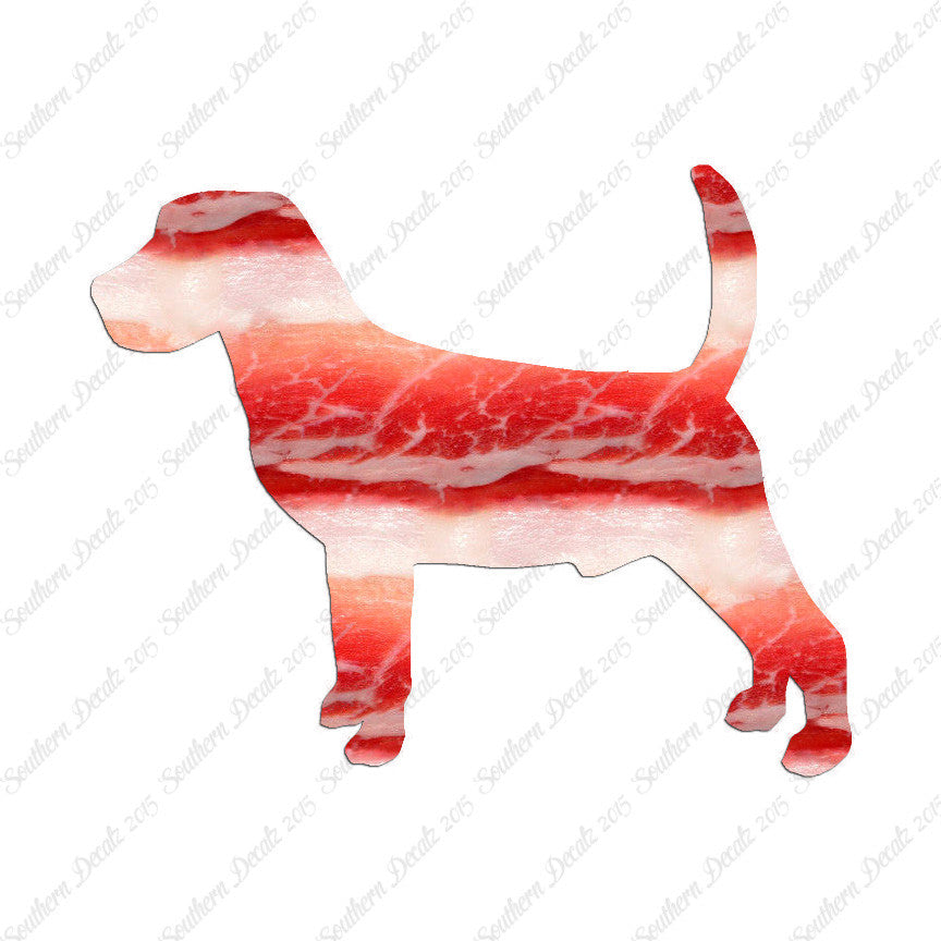 Beagle Dog Breed