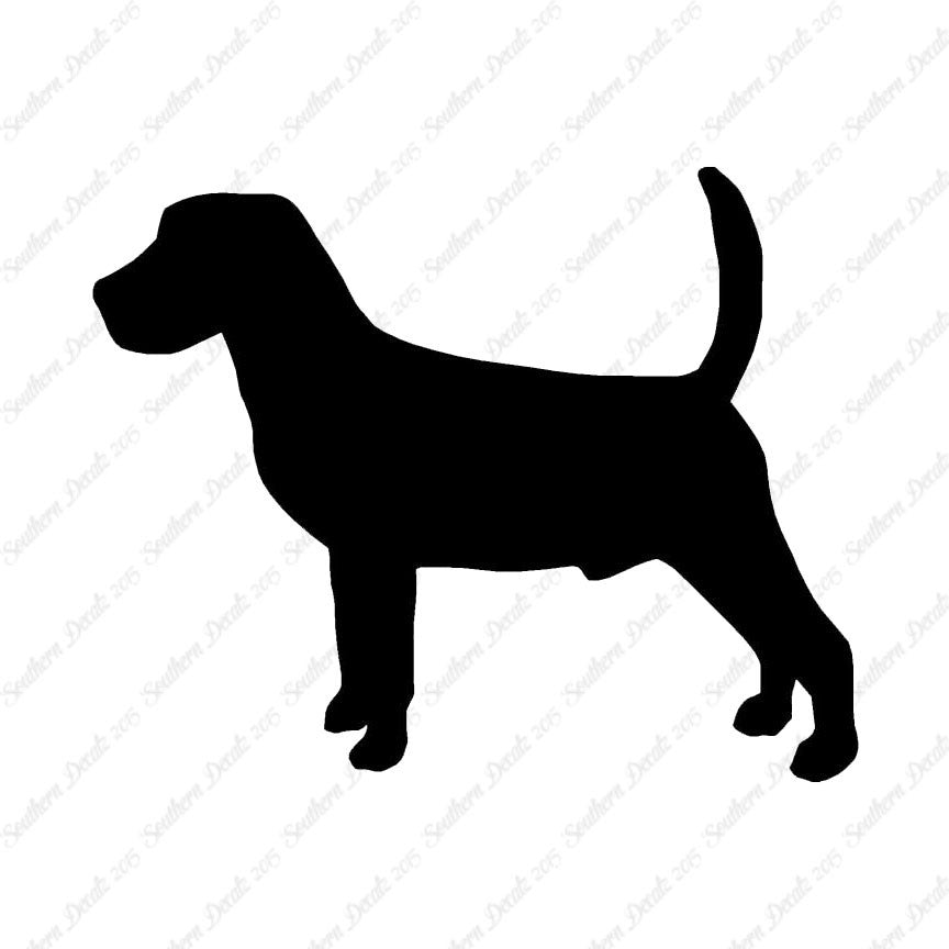 Beagle Dog Breed