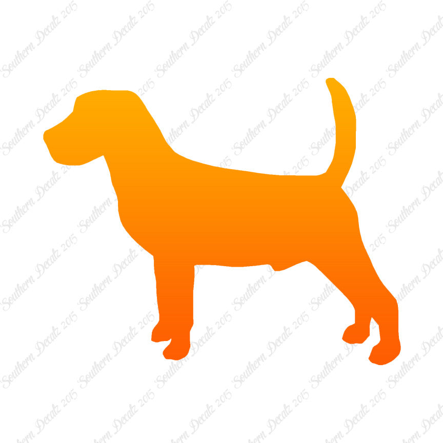 Beagle Dog Breed