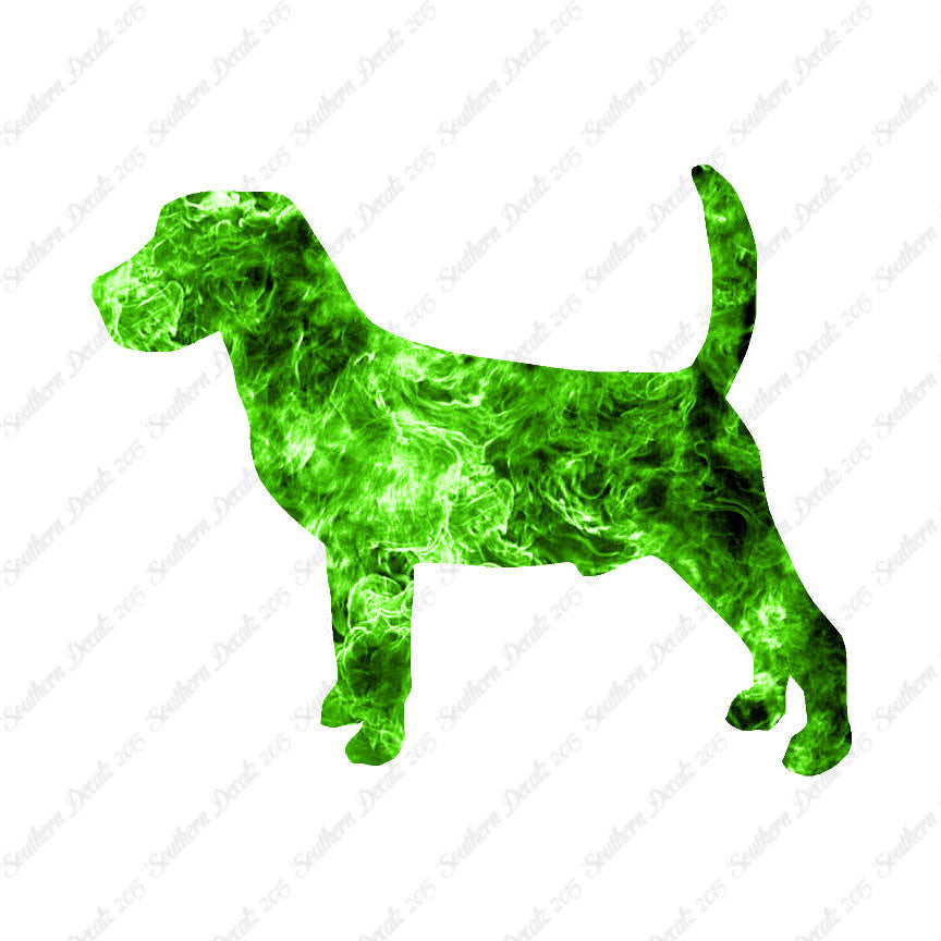 Beagle Dog Breed