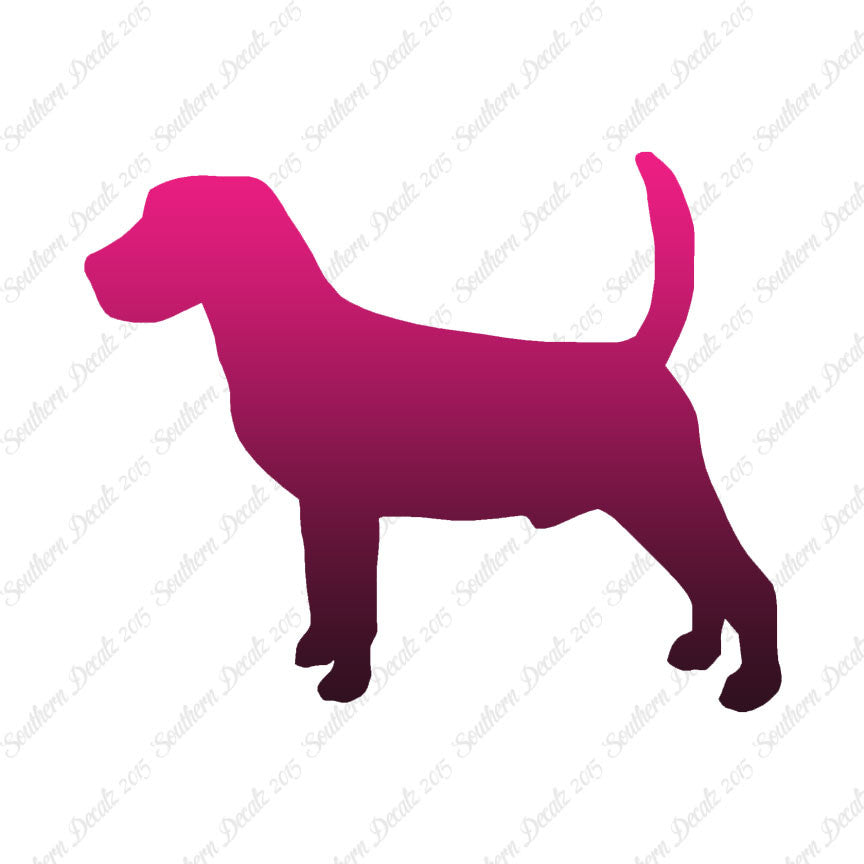 Beagle Dog Breed