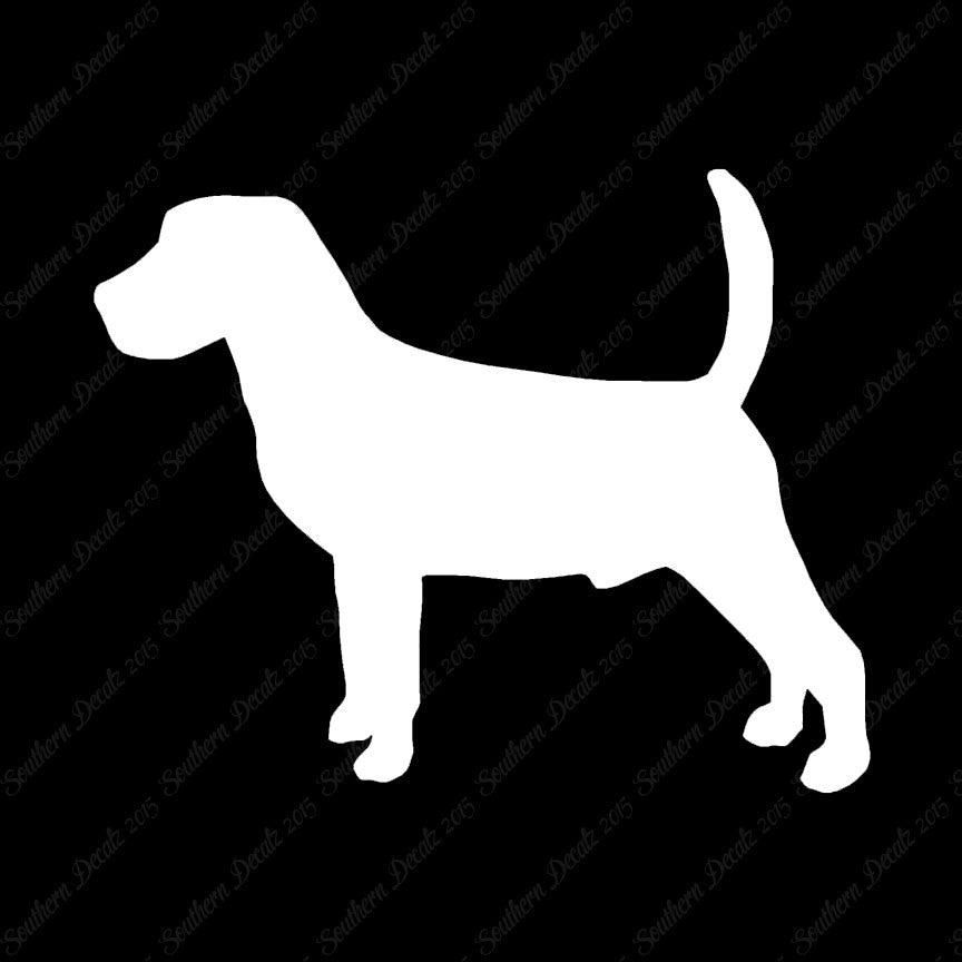 Beagle Dog Breed