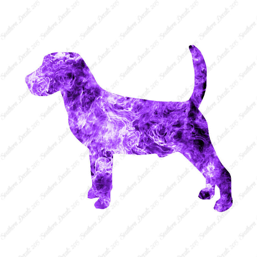 Beagle Dog Breed