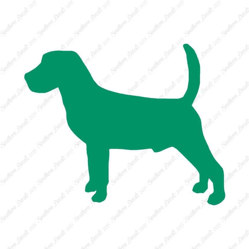 Beagle Dog Breed