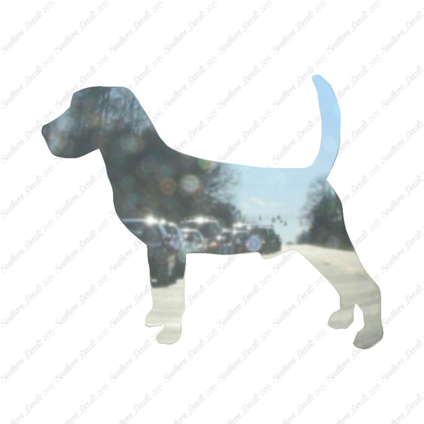 Beagle Dog Breed