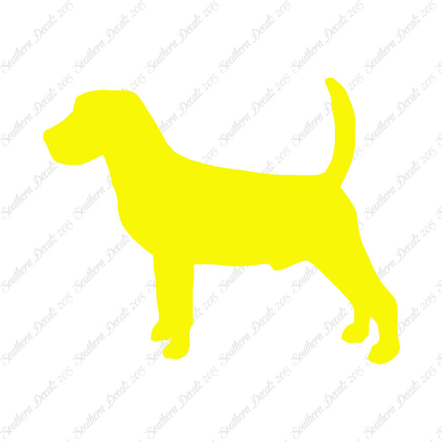Beagle Dog Breed