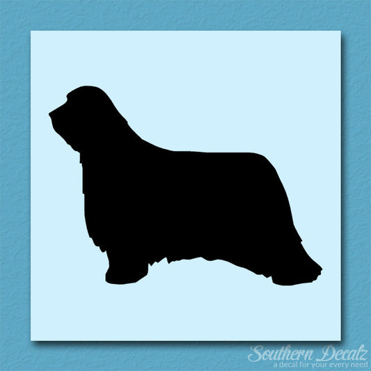 Bearded Collie Dog Breed
