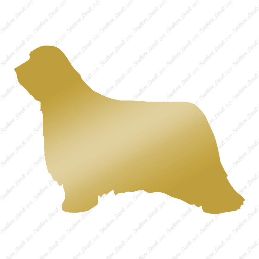 Bearded Collie Dog Breed
