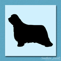 Bearded Collie Dog Breed