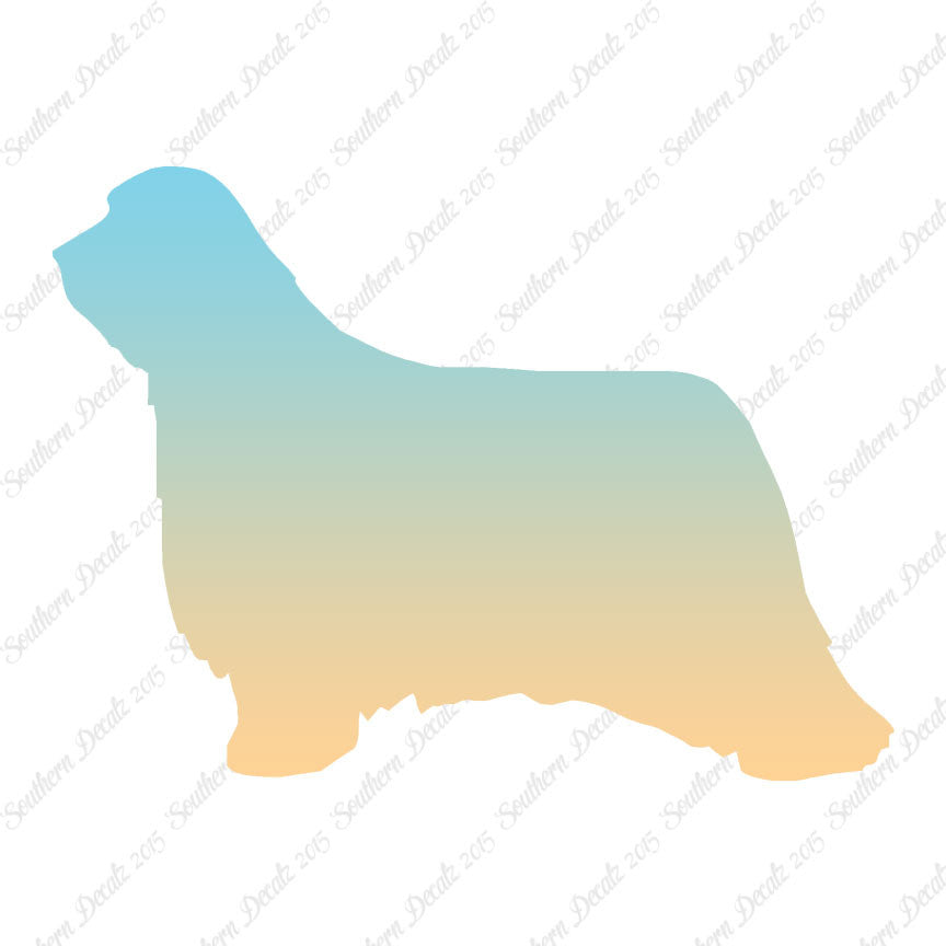 Bearded Collie Dog Breed