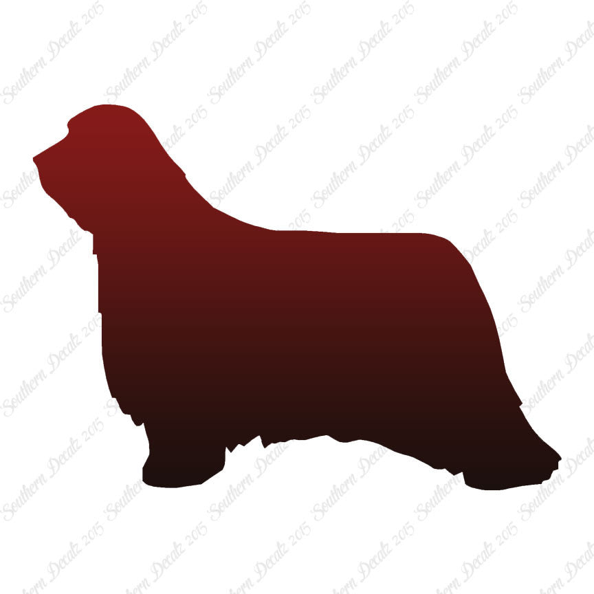 Bearded Collie Dog Breed