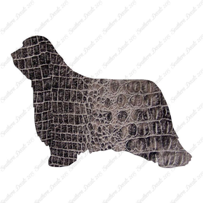 Bearded Collie Dog Breed