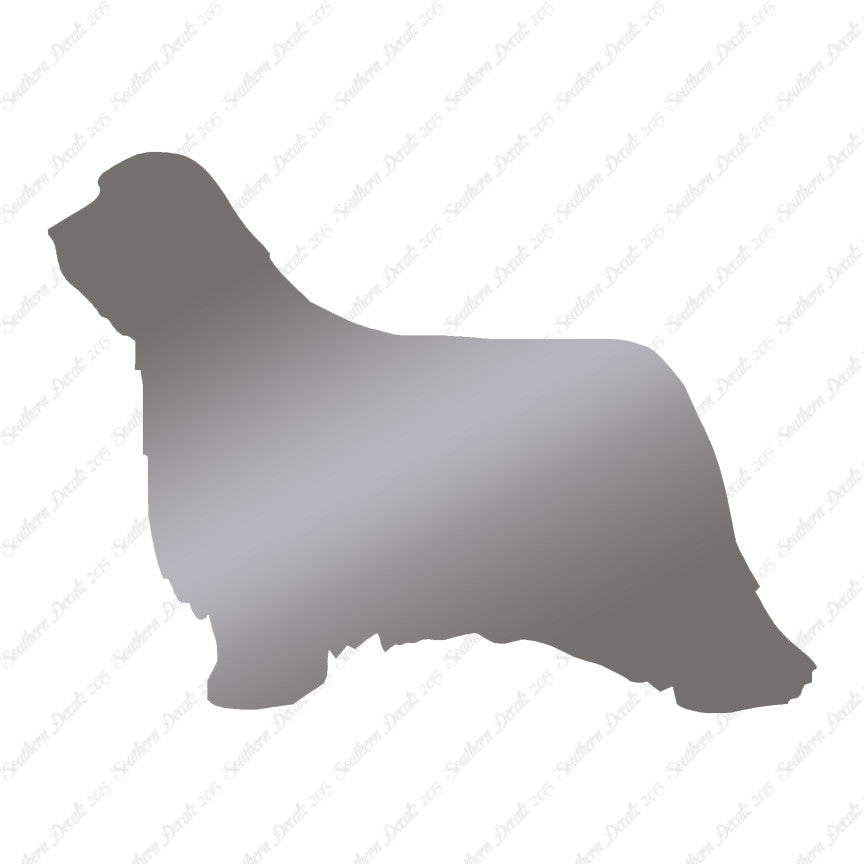 Bearded Collie Dog Breed