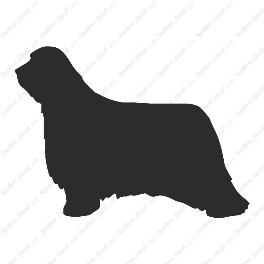 Bearded Collie Dog Breed