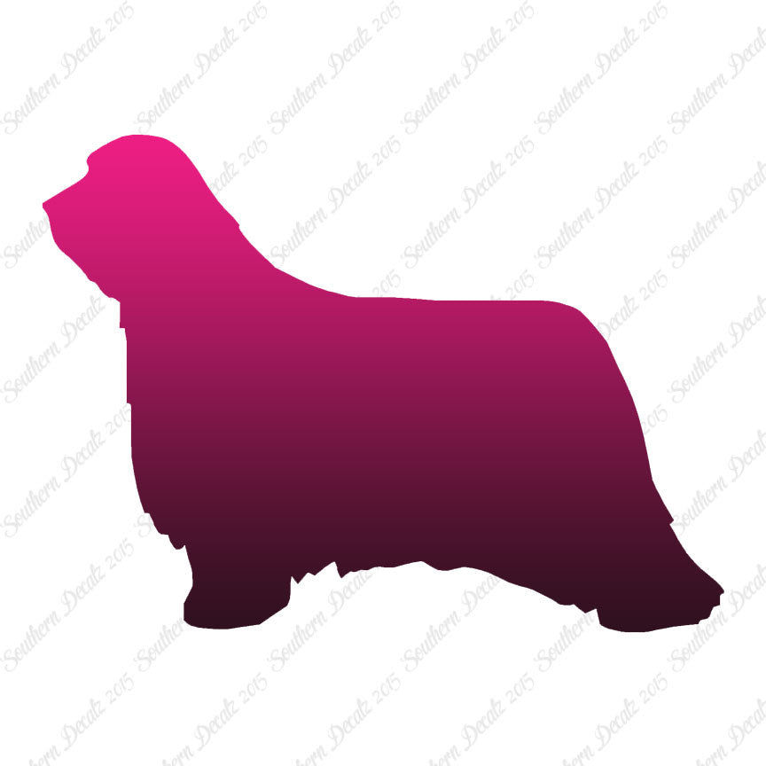 Bearded Collie Dog Breed