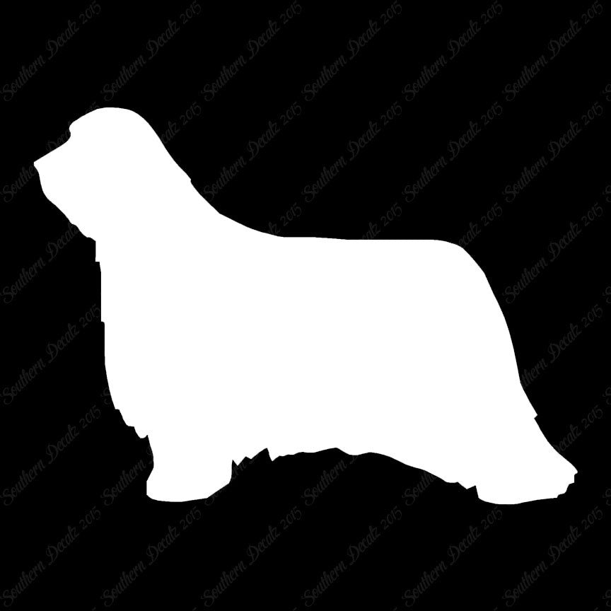 Bearded Collie Dog Breed