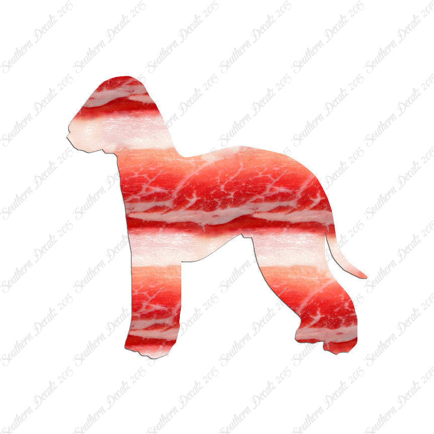 Bedlington Terrier Dog Breed