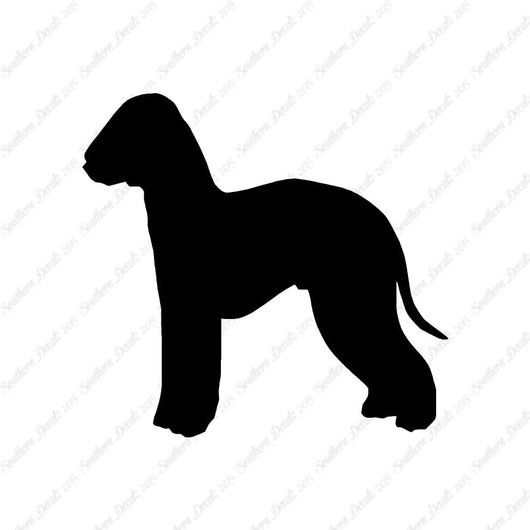 Bedlington Terrier Dog Breed