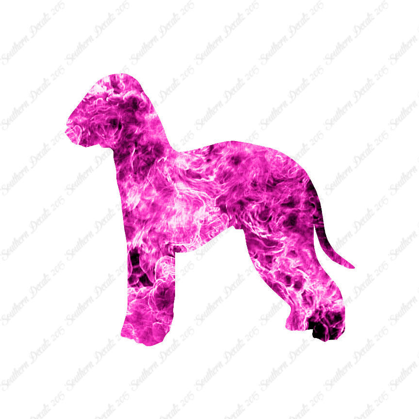 Bedlington Terrier Dog Breed