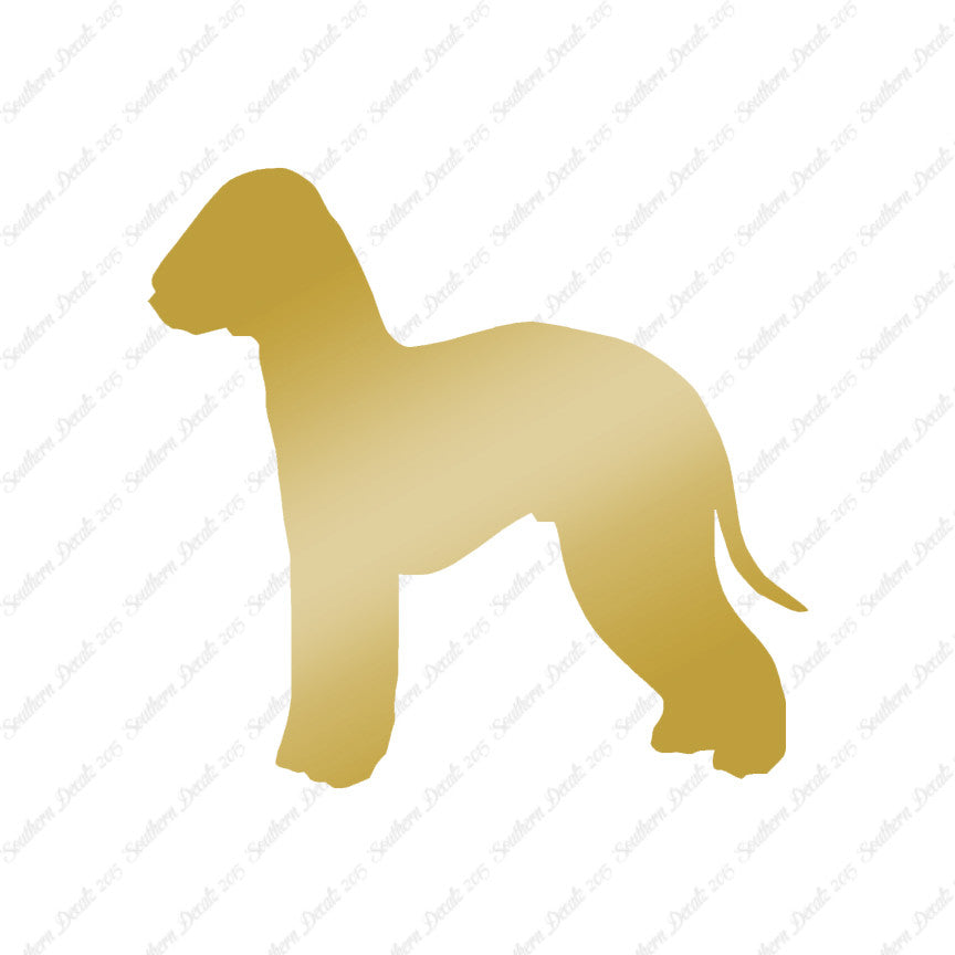 Bedlington Terrier Dog Breed