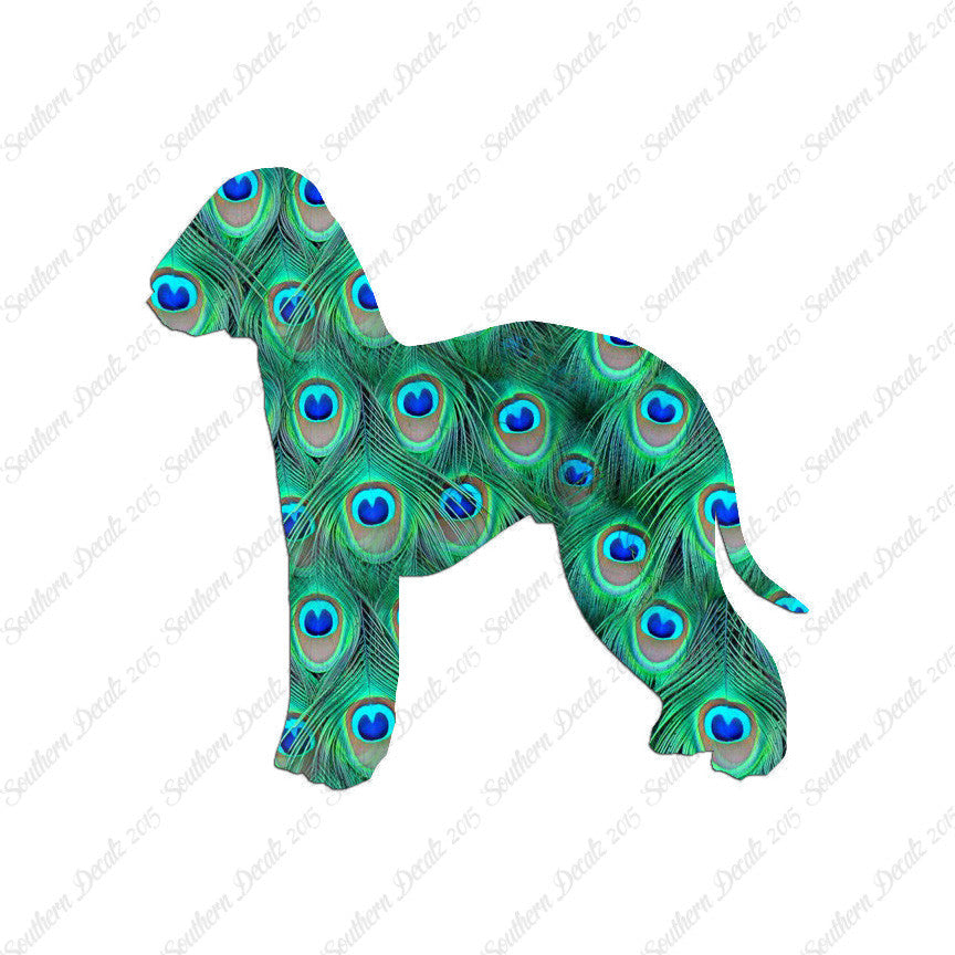 Bedlington Terrier Dog Breed