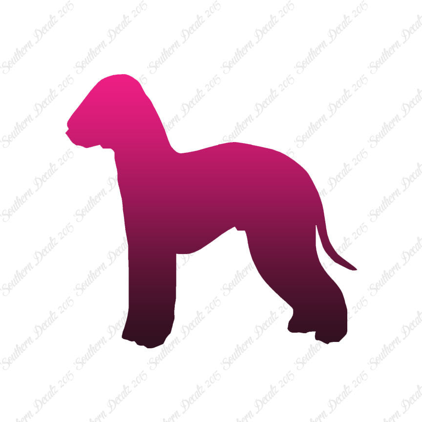 Bedlington Terrier Dog Breed