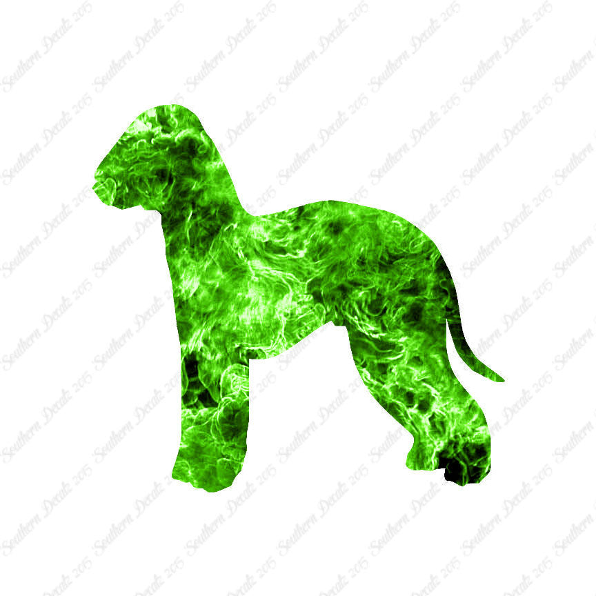Bedlington Terrier Dog Breed