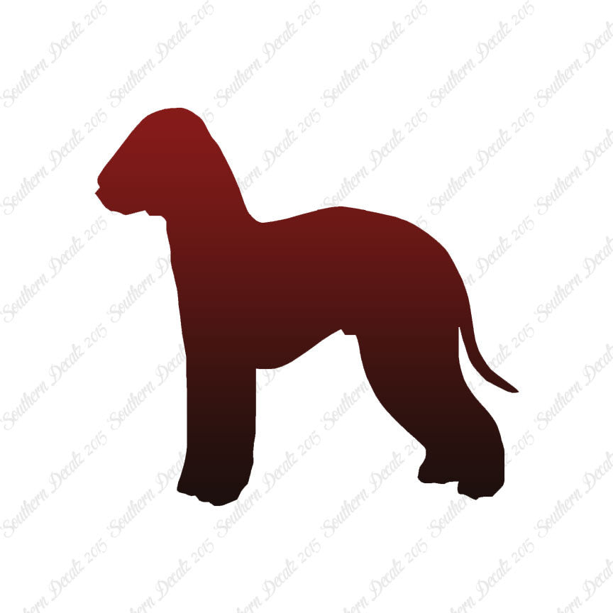 Bedlington Terrier Dog Breed