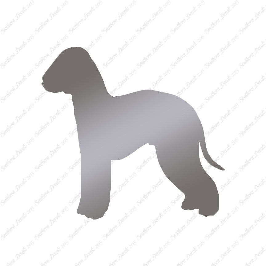 Bedlington Terrier Dog Breed