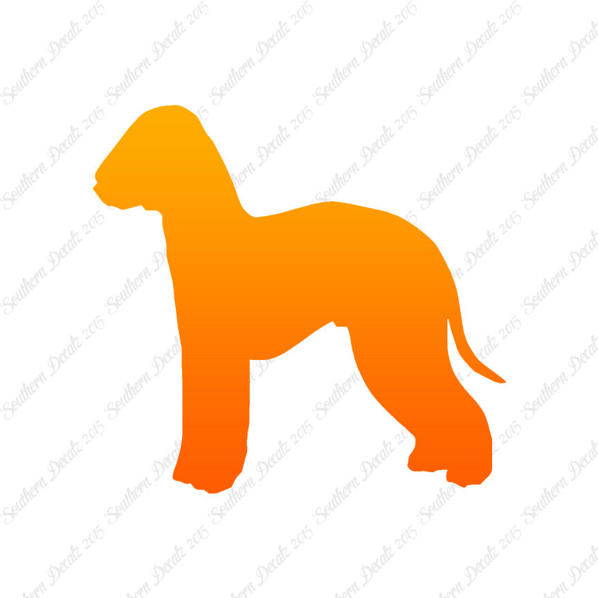 Bedlington Terrier Dog Breed