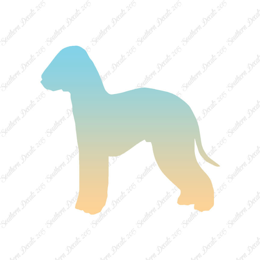 Bedlington Terrier Dog Breed
