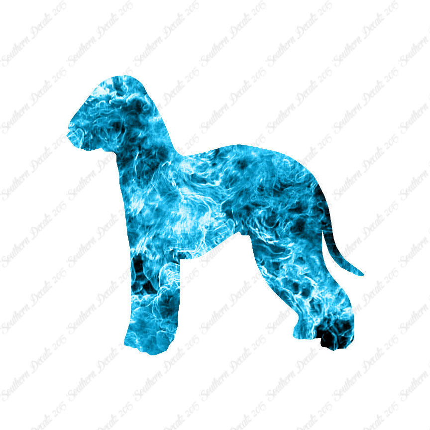 Bedlington Terrier Dog Breed