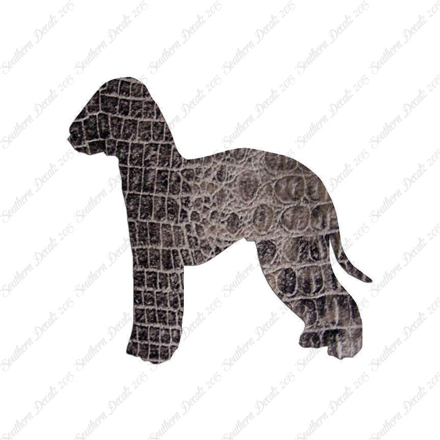 Bedlington Terrier Dog Breed