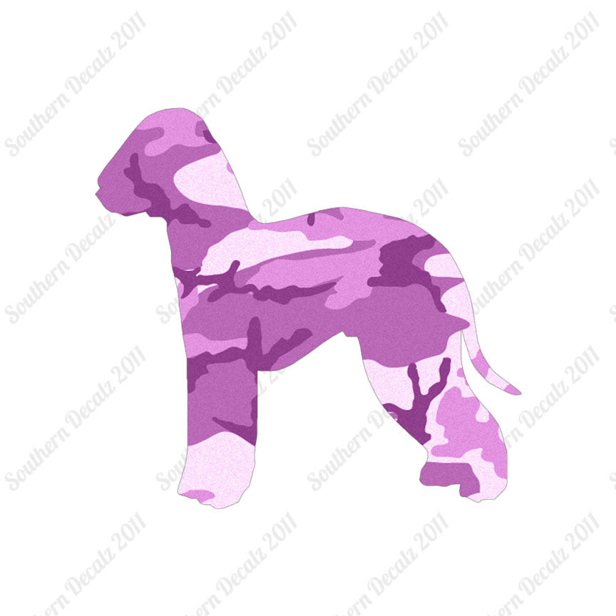 Bedlington Terrier Dog Breed